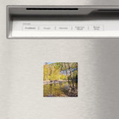 Überquerung des Buffalo Magnet (In Situ (Geschirrspüler))