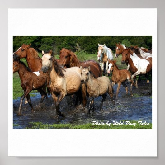 Überquerung Poster (Vorne)