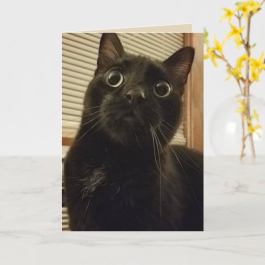 Überraschende Black Cat Card Karte (Gelbe Blume)