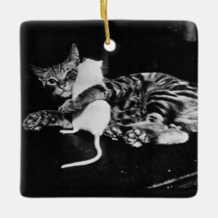 Überraschende Freundschaft - Katze Minnie und Mike Keramikornament