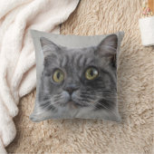 Überraschende graue Katze, eine charakteristische  Kissen (Decke)