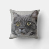 Überraschende graue Katze, eine charakteristische  Kissen (Rückseite)
