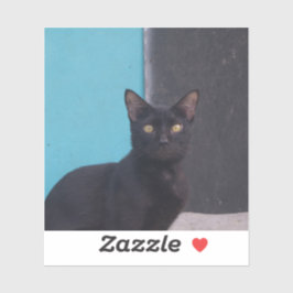 Überraschende Schwarze Katze Aufkleber