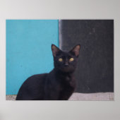 Überraschende Schwarze Katze Poster (Vorne)