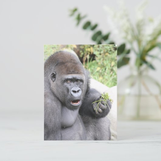 Überraschender Gorilla Postkarte (Stehend Vorderseite)