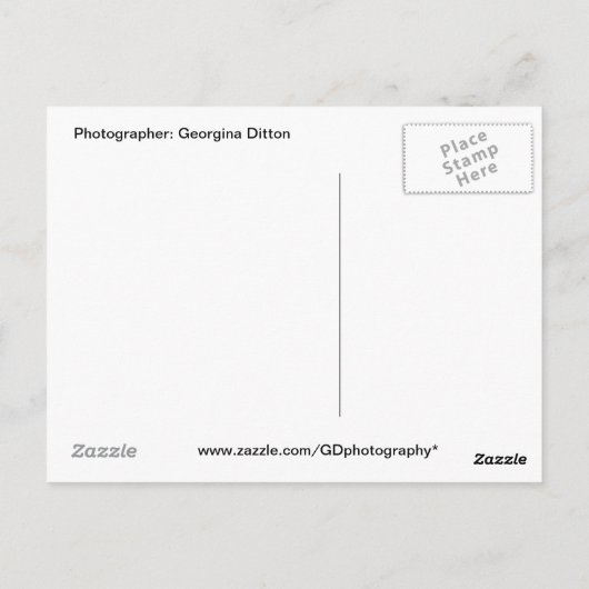 Überraschender Gorilla Postkarte (Rückseite)