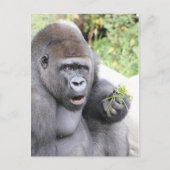 Überraschender Gorilla Postkarte (Vorderseite)