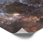 Überraschender Grouper Poster (Ecke)