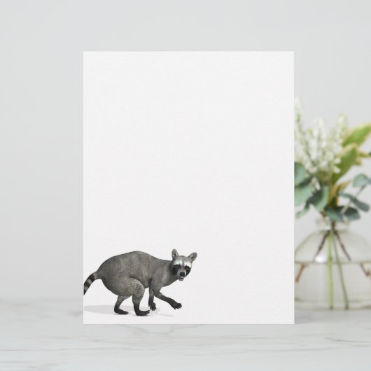 Überraschender Raccoon (Stehend Vorderseite)