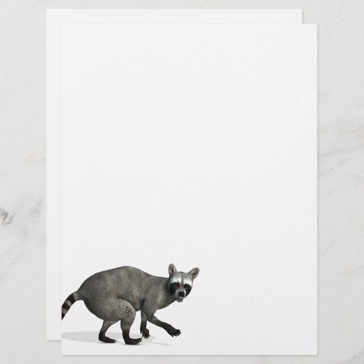 Überraschender Raccoon (Vorne/Hinten)