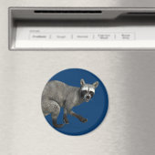 Überraschender Raccoon Magnet (In Situ (Geschirrspüler))