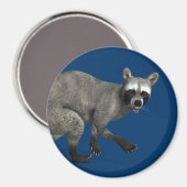 Überraschender Raccoon Magnet (Vorderseite/Rückseite)