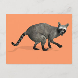 Überraschender Raccoon Postkarte