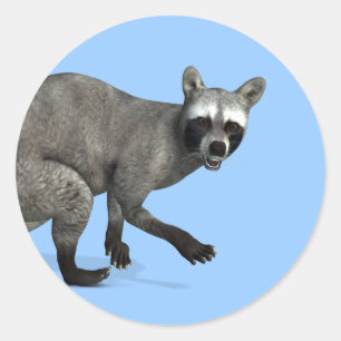 Überraschender Raccoon Runder Aufkleber
