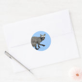 Überraschender Raccoon Runder Aufkleber (Umschlag)