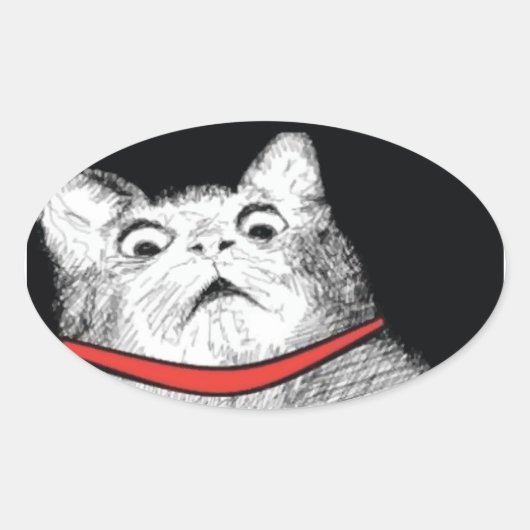 Überraschendes Cat Gasp Meme - Oval Stickers (Vorderseite)