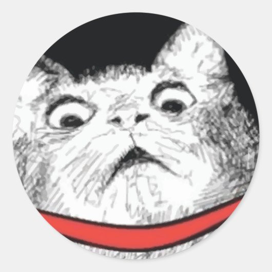 Überraschendes Cat Gasp Meme - Round Stickers (Vorderseite)