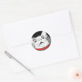 Überraschendes Cat Gasp Meme - Round Stickers (Umschlag)