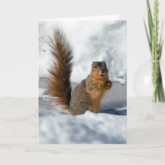 Überraschendes Eichhörnchen Karte (Vorderseite)