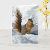 Überraschendes Eichhörnchen Karte (Gelbe Blume)