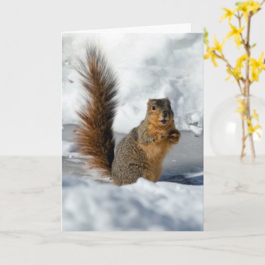 Überraschendes Eichhörnchen Karte (Gelbe Blume)