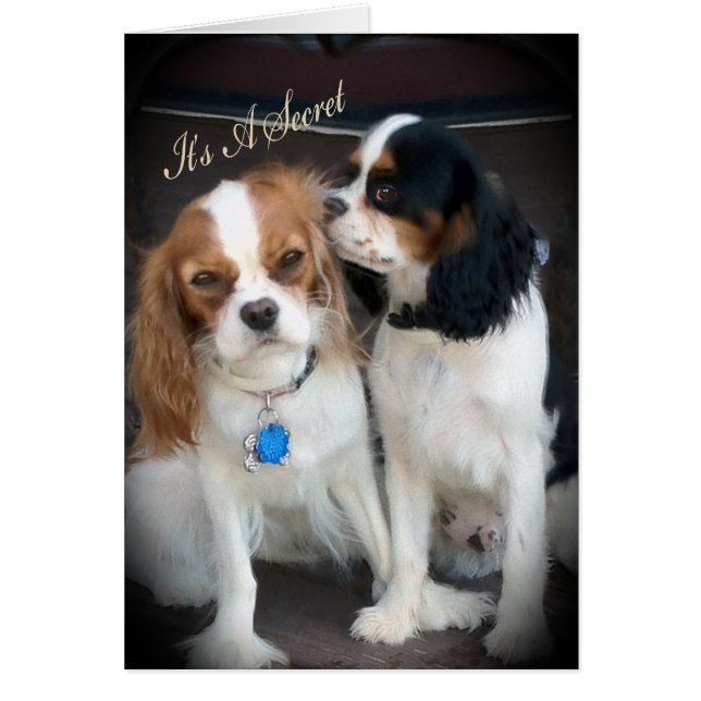 Überraschendes Party "It's a Secret" Karten (Vorne)