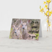 ÜBERRASCHT? WIR SIND! SIE SIND ***40*** KARTE (Gelbe Blume)