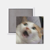 Überraschte Katze Meme Magnet (Vorderseite/Rückseite)