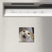 Überraschte Katze Meme Magnet (In Situ (Geschirrspüler))