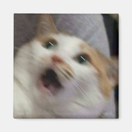 Überraschte Katze Meme Magnet
