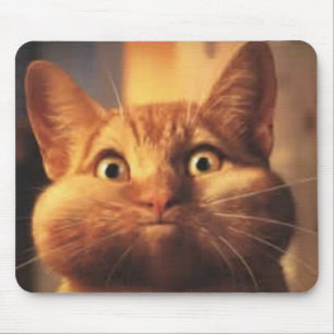 Überraschte Katze Mousepad