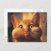 Überraschte Katzenpost-Karte. Postkarte (Vorne/Hinten)