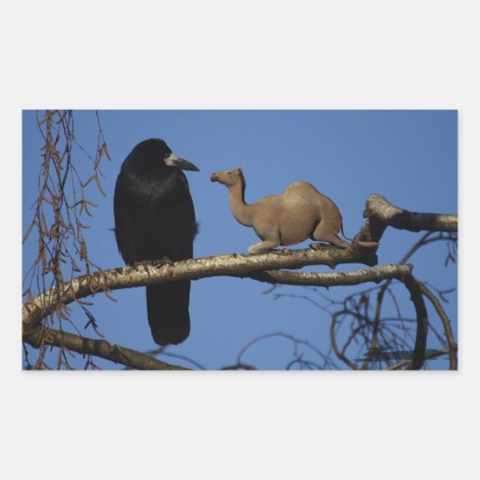 Überraschte Krähe Rechteckiger Aufkleber (Vorderseite)