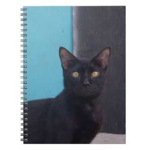 Überraschte schwarze Katze Notizblock