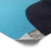 Überraschte schwarze Katze Poster (Ecke)