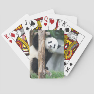 Überraschte Spielkarten Panda-CUBs