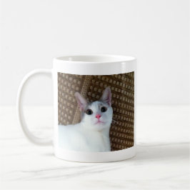 Überraschte weiße Katze Kaffeetasse