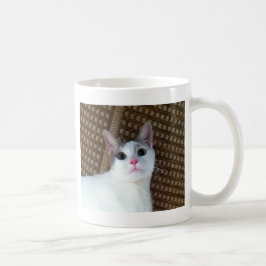 Überraschte weiße Katze Kaffeetasse