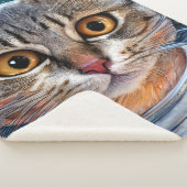 Überraschte Weltraumkatze Sherpadecke (3/4)