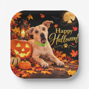 Überraschter Hund Frohes Halloween Pappteller