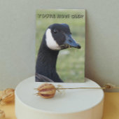 Überraschtes kanadisches Gänse-Foto Geburtstag Karte