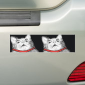 Überraschtes Katzen-Keuchen Meme - Autoaufkleber (Auf Auto)