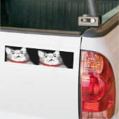 Überraschtes Katzen-Keuchen Meme - Autoaufkleber (Auf Lkw)