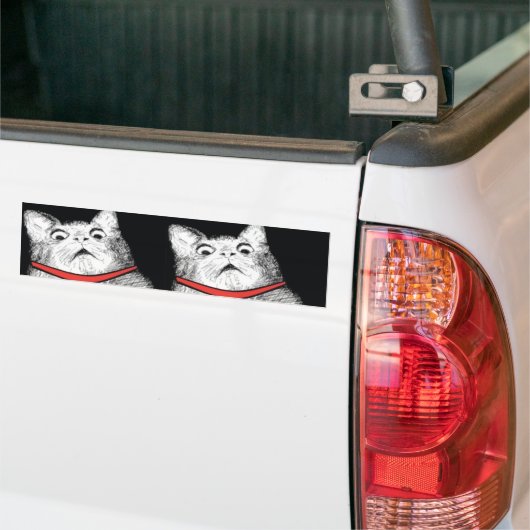 Überraschtes Katzen-Keuchen Meme - Autoaufkleber (Auf Lkw)
