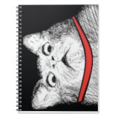 Überraschtes Katzen-Keuchen Meme - Notizbuch Notizblock (Vorderseite)