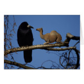 Überraschung (Vorderseite (Horizontal))