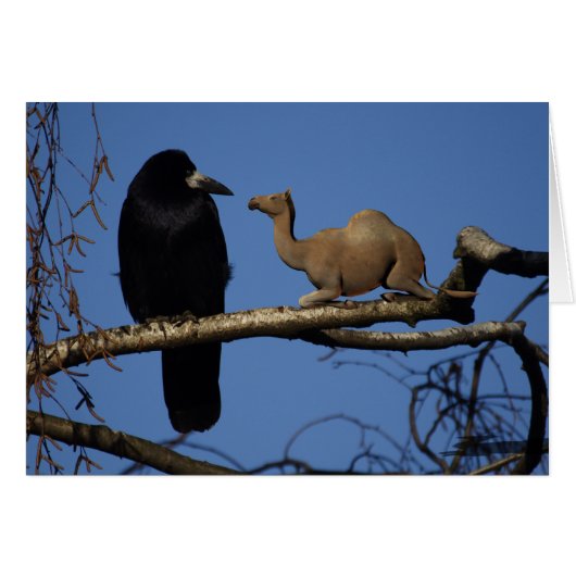 Überraschung (Vorderseite (Horizontal))