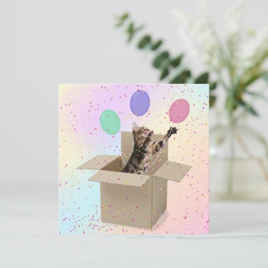 Überraschung Geburtstagskatze Karte (Stehend Vorderseite)