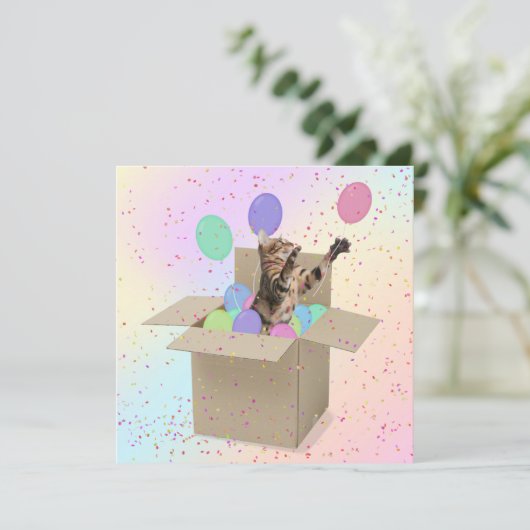 Überraschung Geburtstagskatze Karte (Stehend Vorderseite)