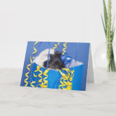 Überraschung Guinea Grußkarte Karte (Vorderseite)